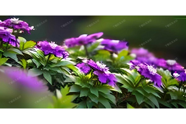 艺术气息中泡一壶茶,武汉美术馆附近的好地方曝光啦 艺术气息中泡一壶茶,武汉美术馆附近的好地方曝光啦